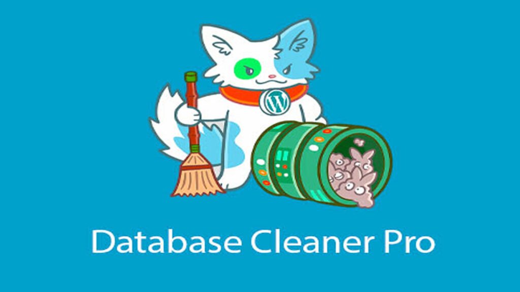 Database Cleaner
