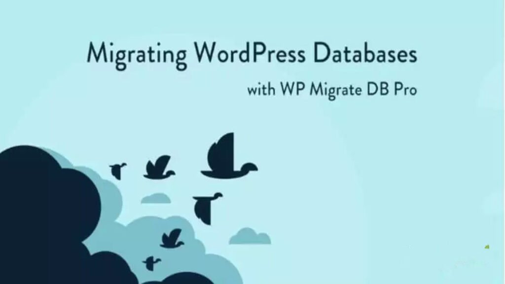 WP Migrate DB Pro